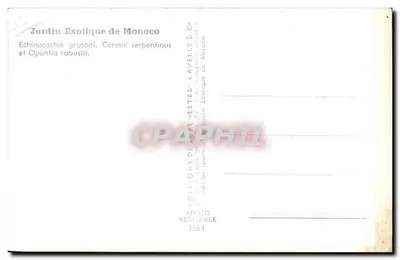 Jardim Exótico de Mônaco — Cactos e plantas suculentas — Éditions Lavelle — Verso