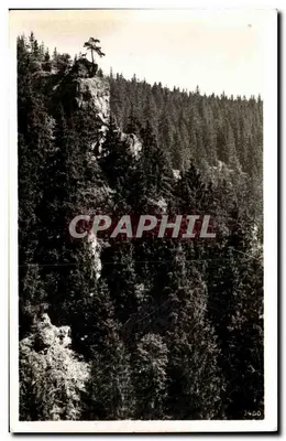 Höllental, Hirschen sprung — vista da falésia com um carvalho isolado — editor Bildverlag Oberszele, n° 3400