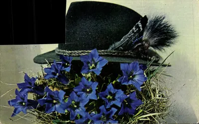 Flores de Gentiana Azul — No País do Mont-Blanco — Edições ROSA