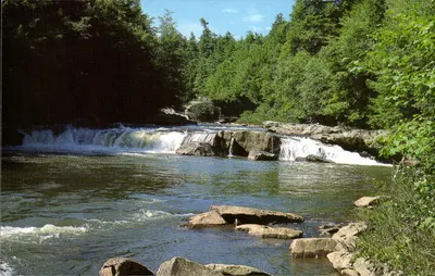Cascata dos Andorinhas — Floresta Estadual de Garrett, Maryland — Publicado por Ruthann Morrow, Jr., Miami, Florida