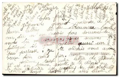 Jeune femme en robe violette — portrait circulaire avec marguerites — éditeur WD N°1274 — Verso