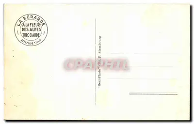 La Bérarde — Szlak do schroniska Chatelleret — Cap — Rewers