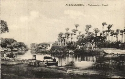 Alexandria - Canal Mahmoudieh — B. Livadas & Coulisikos, n°38
