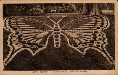 Rouen — O Borboleta do Jardim das Plantas — Edição La Cigogne, n° 280