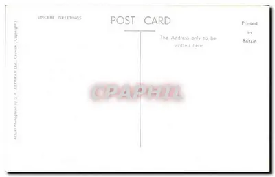 Daffodile Wordswortha nad Ullswaterem — G. P. Abrahams Ltd. n° 4065 — Rewers