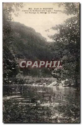 Las MERVENT — Kanton St-Hilaire-des-Loges — Widok zbiornika Portail — n° 3615