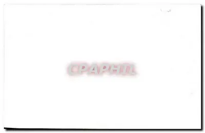 Dois cervos em um paisagem invernal — Meilleurs Vœux — Verso