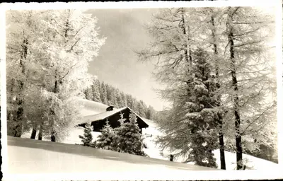 La Prafandaz : Métézes gelados — Photo-Nicca, Leysin, n°2