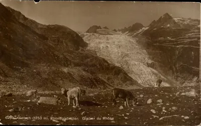 Gletsch (1753 m) — Glaciar do Reno, Glacier du Rhône — Phototypie Co. Neuchâtel, n° 6289
