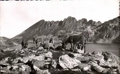 Lac de la Motie — Environs d'Allevard — Sept Laux — Édition de la Maison Alpine