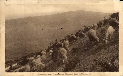 Troupeau de Moutons dans la Montagne — Jura-Touriste, éditeur Jura-Touriste, n°39