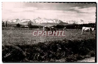Pâturages aux pieds des Pyrénées — Edição NARBO — Toulouse