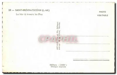 Saint-Brevin-l'Occéan — Morze wśród Cypresów — Wydawnictwo Caby — Rewers