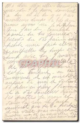 Cachorro em um cavalo — cena de jardim — carta postal — Verso