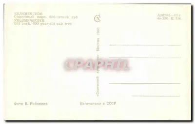 Kolomenskoye — Stary park, dęb z 600 lat — Fotografia V. Ryabinina, wydawca «Sovetskoye Khudozhestvo», nr A08384 — Rewers