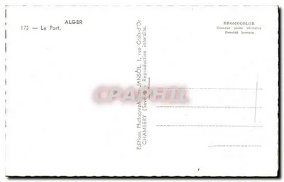 Algeria — Il Porto — Edizioni Fotografiche JANSOL, rue Croix-d'Or, Alger — Verso