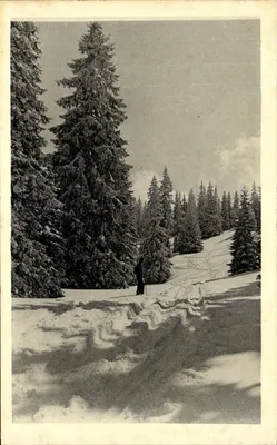 O Jura sob a neve — Mont Boulon-sur-Boone — Impr. Boulon-sur-Boone