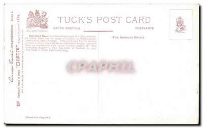 Beresford Dale — Staffordshire — Tuck's Post Card, seria 7739 — Rewers