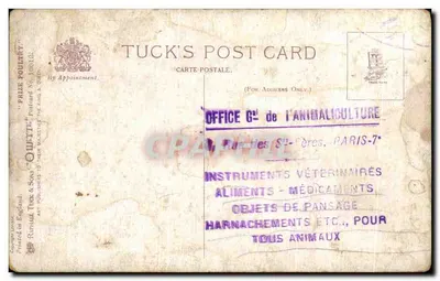 Galinha Silver Wyandotte — ilustração — Raphael Tuck & Sons, 'Prize Poultry' Carta Postal No. 100012 — Verso
