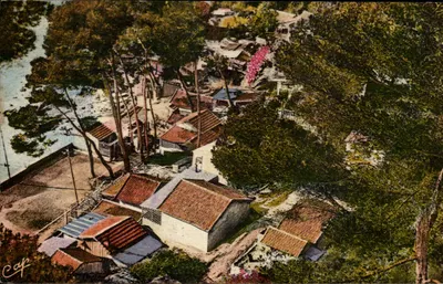 Le Pradet - Os Chalets de Pin — C° dos Arts Photomécaniques, Paris