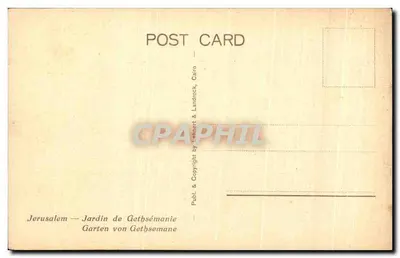 Jerusalém — Jardim de Getsemani — editor Landrock & Landrock, n° 633 — Verso
