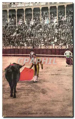 Fuentes passando de Muleta — espetáculo de tauromaquia — P. & Co., Mahn, Série 56