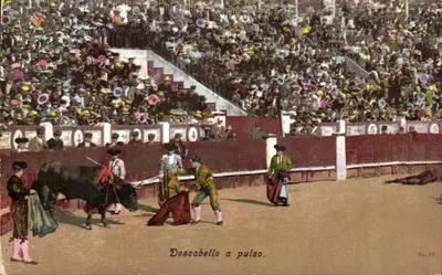 Luta de touro a pulso — Descabello a pulso. — P. & Co., Mahn. Série 56, No. 16
