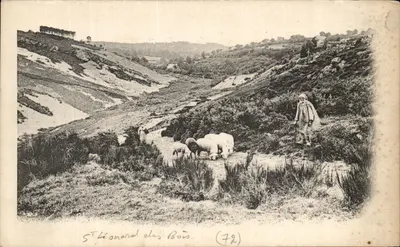 Saint-Léonard-des-Bois — paisagem pastoral com pastor e ovelhas — Coleção Adolphe Renard, série Vues de la Sarthe, n°76