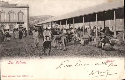 Bazar Alemão, Las Palmas — mercado animado com jumentos e mercadorias — editor Las Palmas 43