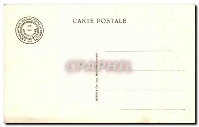 Dwie młode dziewczyny — w parku — wydawca BRAUN & Cie, Dornach — Rewers