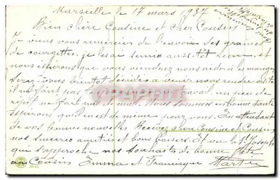Arranjo de margaridas — Feliz aniversário — editor desconhecido — Verso