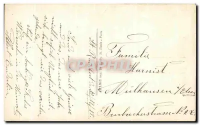 Cloyeuse Angeée — winterscène met eeuwiggroen en tulpen — uitgever ANIGE, Parijs, n° 642 — Achterkant