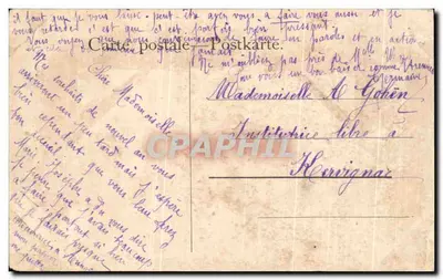 Bilhete postal antigo Paisagem Vacas — Verso