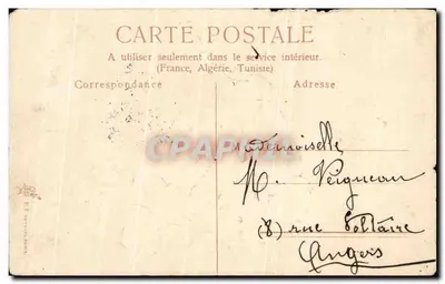 Poppies — illustration botanique — éditeur non visible — Verso