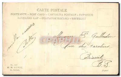 Dois cães em automóvel — R. DUREICH — M. M. VIENNE, n° 393 — Verso