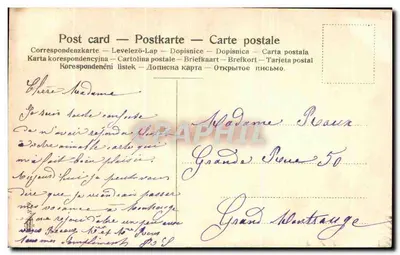 Arranjo de papoulas e espigas de aveia — ilustração botânica — editor desconhecido — Verso