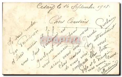 Fiolety — bukiet i kwiaty w doniczce — wydawca Suzy n° 576 — Rewers