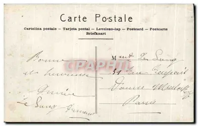 Rose violette — fleur détaillée avec feuilles — éditeur N° 61/N — Rewers