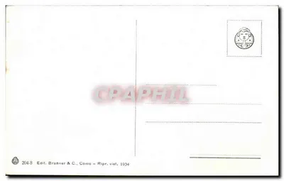 Lago Maggiore - Stresa - Panorama — Wyd. Brunner & C., Como, nr 204-8 — Rewers