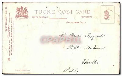 Pleasant Pastures — Paisagem pastoral com ovelhas e galinhas — Tuck's Post Card, série III, Berlin 8470 — Verso