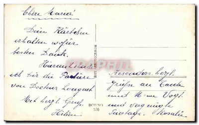 Flores coloridas — editor Photocrom, n° 536 — Verso