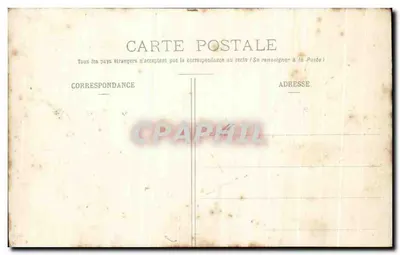 Morskie algie — kolekcja Fernand Fécchant (Belle-Île-en-Mer) — Rewers