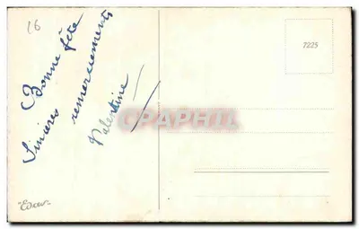Bloemen en klaverbladeren — Sint-Katharina — onbekende uitgever, serie nr. 16 — Achterkant