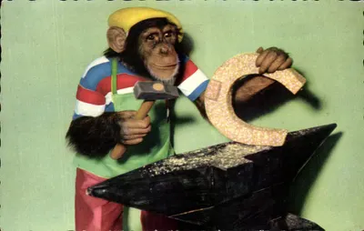 Chimpanzé ferreiro — Carta manuscrita para Bernauche — Impresso na Suíça