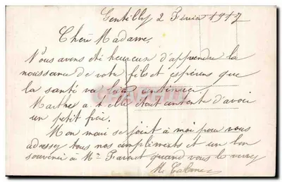 Bebé en un cesto con flores — Tarjeta de felicitación para la madre y el padre — n.º 3346 — Reverso