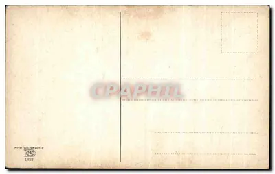 Floresta de pinheiros — paisagem — Photochromie 1322 — Verso