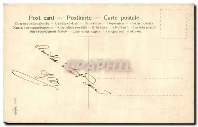 Buquê de flores — ilustração colorida — editor não visível — Verso