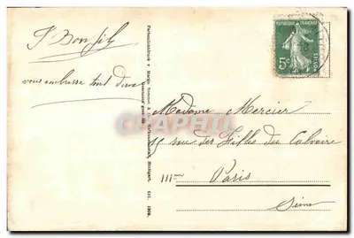 Flores rosas — St. Claire — editor St. Claire — Reverso