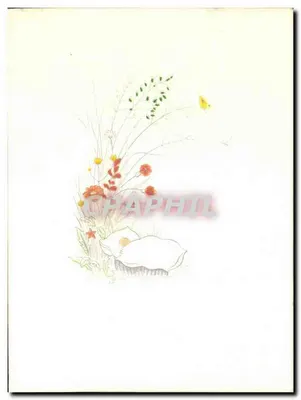Blumen und Schale — botanische Illustration — kein Verlag oder Seriennummer sichtbar