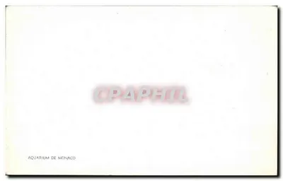 Aquário de Mônaco — publicidade — Verso